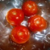 gazpacho-tomatoes-3