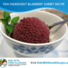Few-Ingredient-Blueberry-Sorbet-Recipe