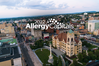 AAFA Releases the 2022 Allergy Capitals™ Report