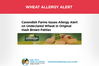 Wheat Allergy Alert: Cavendish Farms Original Hash Brown Patties