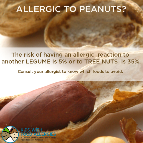 peanut-allergy-risk-cross-reactions